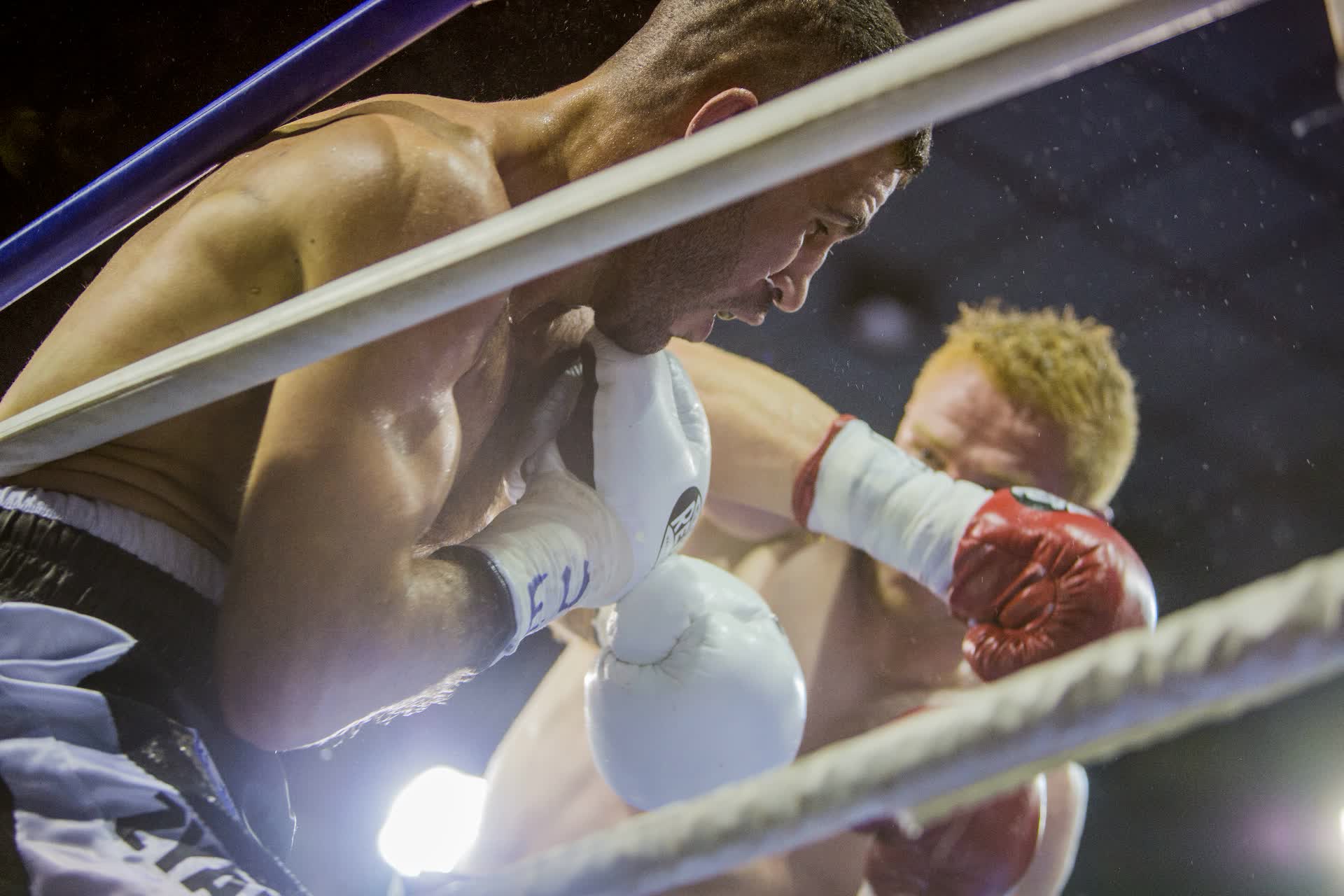 Combat de boxe - FFBoxe